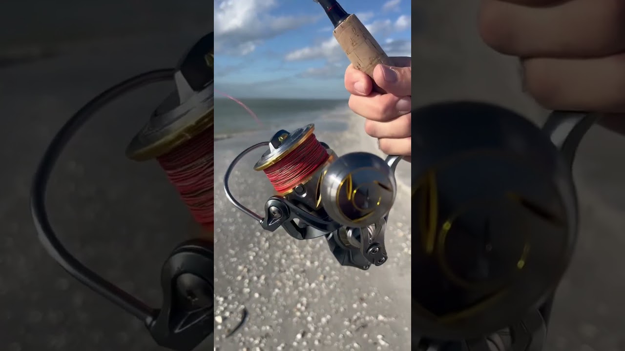 Kapstan Elite 6000 fishing in SANIBEL ISLAND. Subscribe 🤙