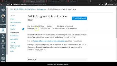 How to Submit an Assignment on Canvas (Skyline College)
