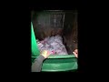 five below haul #savetheplanet #dumpsterdiving #entrepreneur #dd