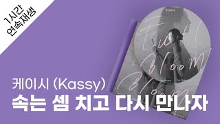 케이시 (Kassy) - 속는 셈 치고 다시 만나자 1시간 연속 재생 / 가사 / Lyrics