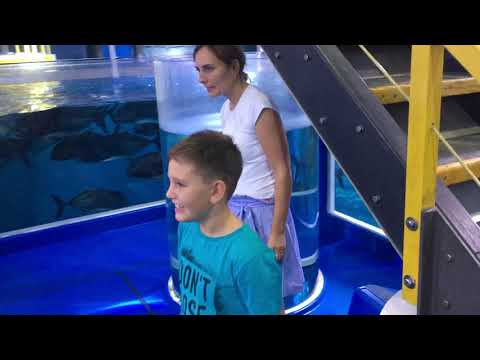 Dubai Aquarium & Underwater Zoo