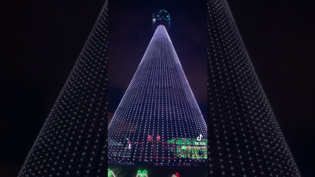 Happy Holidays from Hawai'i Magazine!