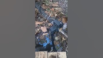 Checking and cleaning the compressed air condensation filter #maintenance #mechanics #automation