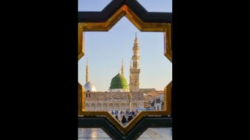 سورة فاطر {الآية 34} بصوت الشيخ ماهر المعيقلي ❤️💖