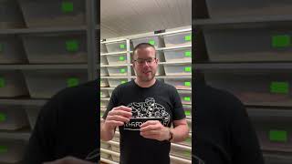 Celebrity Piedsided explained | Future-Morphs Profile