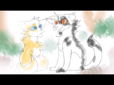 Do You Remember? (Swiftpaw and Brightheart PMV)