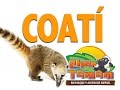 COATIS: GUIA EXPRES