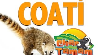 COATIS: GUIA EXPRES