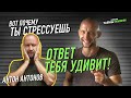 ПРИЧИНА ВСЕХ СТРЕССОВ - Антон Антонов