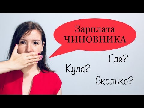 Государственный БЮДЖЕТ на должности в штатное расписание | Заработная плата сотрудника госслужбы