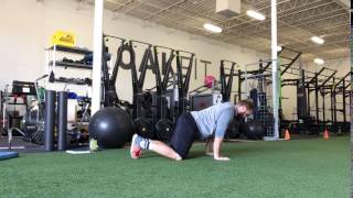 Quadruped Rock Back (Squat Mobility)