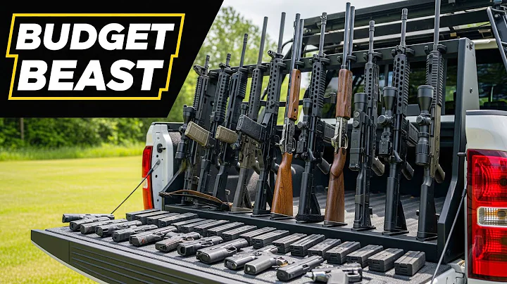 Top 10 "AR-15 Killers" You Can Actually Afford