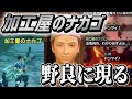 【MHRise】野良マルチに現れた加工屋のナカゴが再現度高すぎて笑いが止まらなかったｗｗｗ【モンハンライズ】