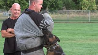 Training the Police and Military K9 Helper with Franco Angelini - Part 3 - Bite Suit Mechanics