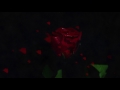 Wiguez - Nine Roses (Official Music Video)