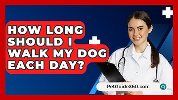 How Long Should I Walk My Dog Each Day? - PetGuide360.com