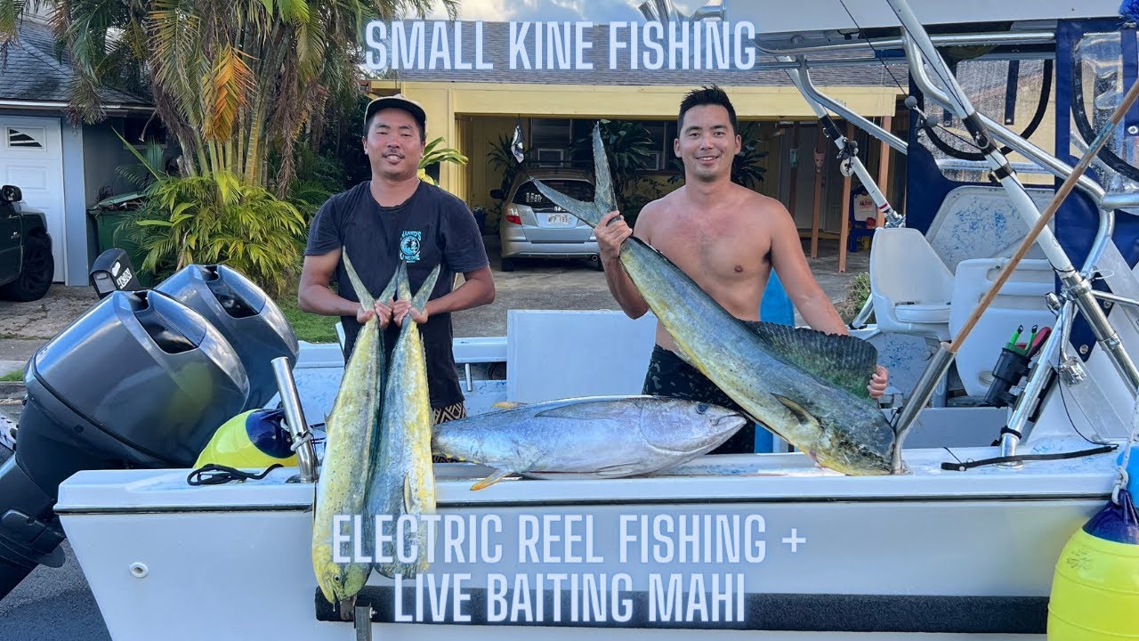 SMALL KINE] Putting an ELECTRIC REEL to the test with a BIG SHIBI + LIVE  BAITING a school of MAHI 