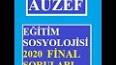 Sosyoloji: Kültürel Bağlamın Toplumsal Davranışa Etkileri ile ilgili video