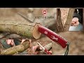 Нож Victorinox Hunter 0.8873 - Тест Пилы