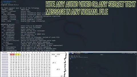 Hide any secret file(audio,video,text) in any Normal file In less than 5 min.