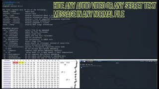 Hide any secret file(audio,video,text) in any Normal file In less than 5 min.