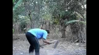 Bersin keluar kambing