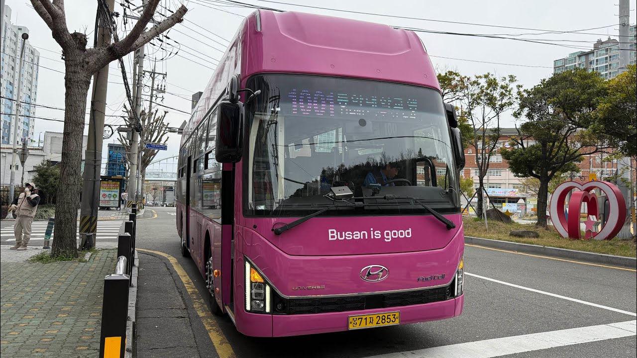 [친절기사님] 부산1001번 25년식 수소유니버스신차(2853) 주행영상 (신도색)
