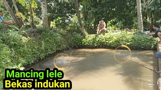 SUNGGUH DI LUAR DUGAAN..!! Mancing ikan lele monster monster..!!