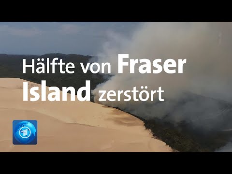 Video: Wie ist das Feuer auf Fraser Island entstanden?