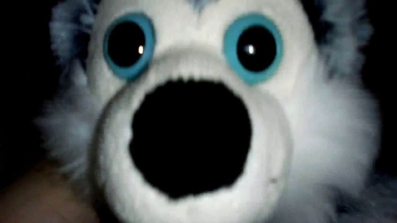 Хаски певец - YouTube