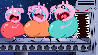 Peppa Pig Family With Cute Big Belly  Peppa Pig Funny Animation