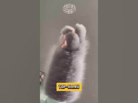 😺 🐾 Самые популярные перчатки в виде кошачьих лап, 🐾 громадных ...