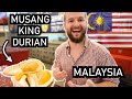 Foreigners Try MUSANG KING in MALAYSIA - BEST DURIAN in the WORLD