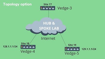 Master SD-WAN Hub & Spoke Topology: Control Plane Policy Simplified! #networkershome
