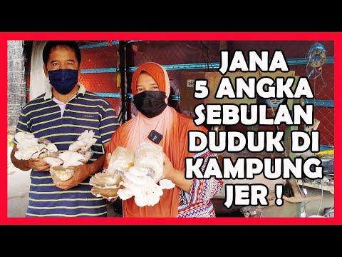 Video: Kacang Hijau Dengan Cendawan