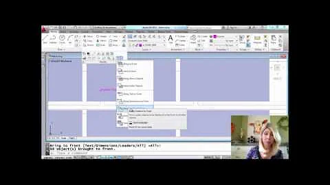 Display Annotations in AutoCAD Drawings (Lynn Allen/Cadalyst Magazine)