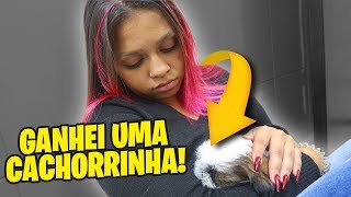 Ganhei Uma Cachorrinha