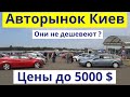 Авторынок Киев! АВТО до 5.000 долларов. Цены на автобазаре в Киеве. Начало Лета 2020. Июнь