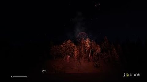 Going out with a bang DayZ style