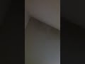 36 year old blues