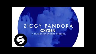 Vignette de la vidéo "ZIGGY - Pandora (Original Mix)"