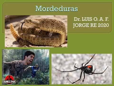 Vídeo: Diferencia Entre La Mordedura De Serpiente Y La Mordedura De Araña