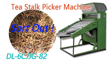 Shake Type Tea Stalk Picker Sorting Machine Tea Stalk Picker Leaf Stalks Pick Up Machine DL-6CJJG-80