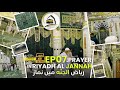 S25 EP07: Praying in Raudha e Rasool | Riyaz Al Jannat | Umrah Tour | Saudi Arabia | Makkah | Madina