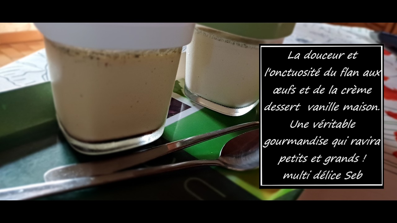 MULTI DELICES SEB Flan aux œufs et de la Crème dessert  vanille