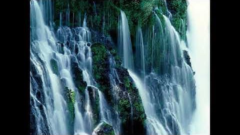 سورة الكهف بصوت القارئ محمد عوض الحرباوي