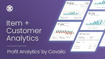 Item and Customer Analysis / Profit Analytics™ by Cavallo