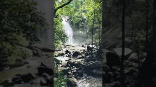 Nature Crafts On YouTube #waterfall #nature #kerala