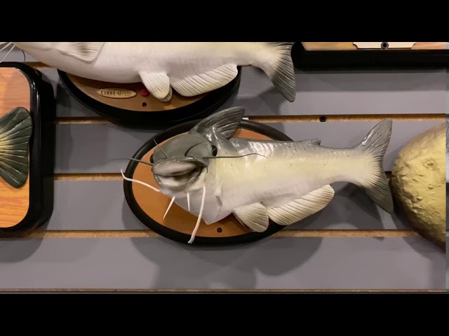 How To Store Fly Rod Tubes - Fly Fishing Tips - DIY Wall Rack 