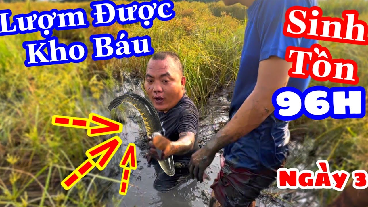 TXVL - Thánh Xàm Khám Phá Bãi Đầm Lầy Và Kết Quả Không ai Nghờ | Sinh Tồn Ngày 3